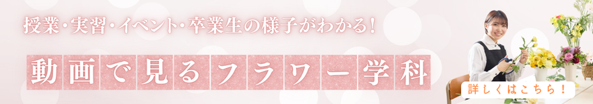 動画バナー