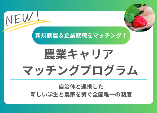 就職キャリアマッチング