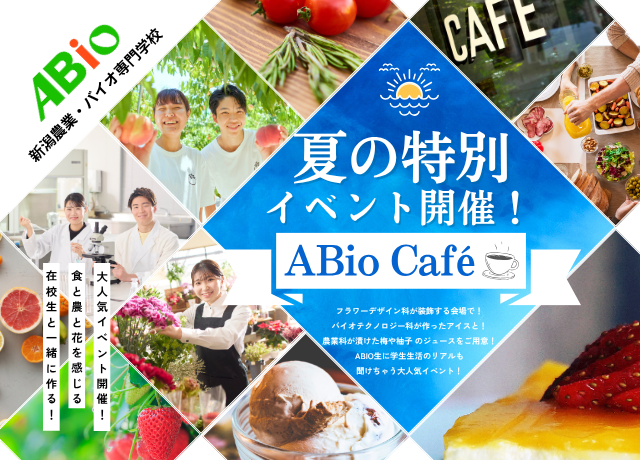 夏の特別イベント開催！