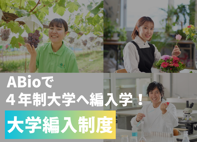 大学編入