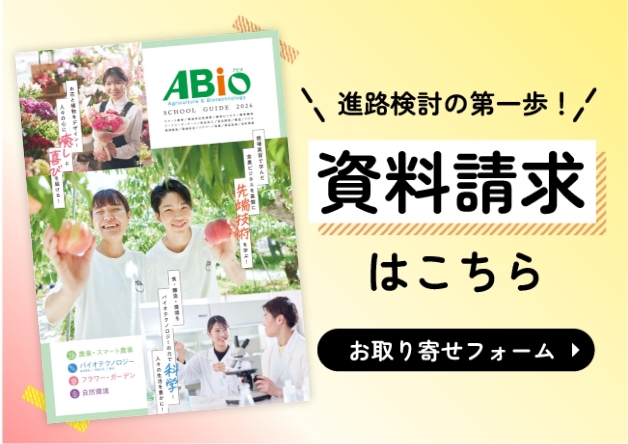 資料請求はこちら