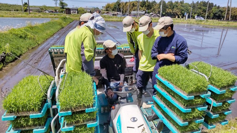 新潟農業・バイオ専門学校｜農業・フラワー・造園・食品・醸造・環境・バイオテクノロジーが学べる専門学校【就職率100％】 【水稲栽培実習