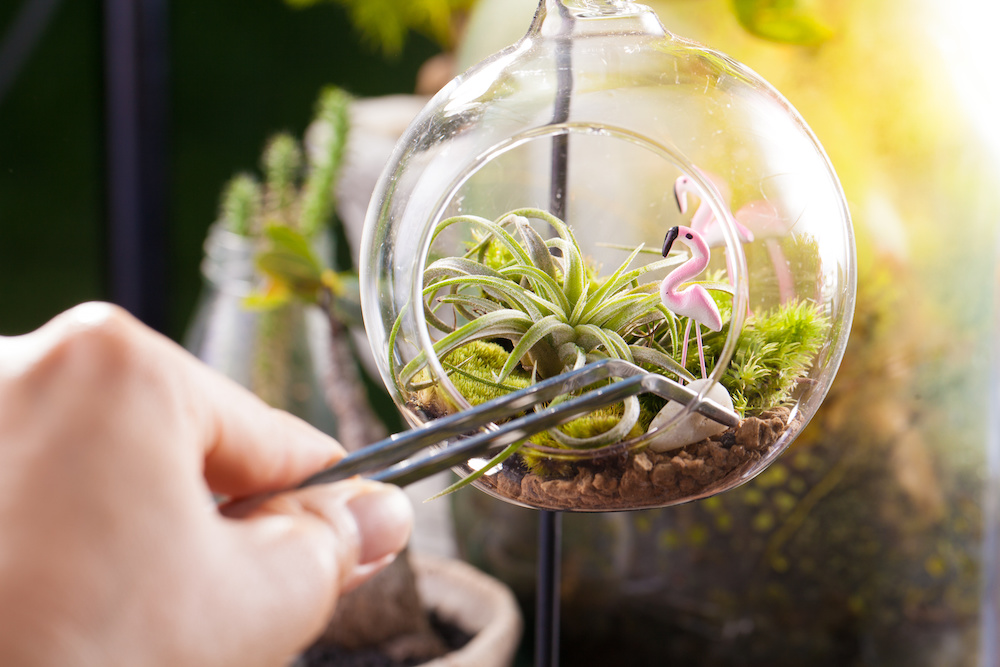 A terrarium garden scene in glass ball shape with Tillandsia, pebbles and flamingo toy inside and stainless forceps to decorate