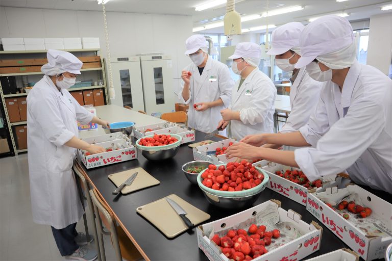 新潟農業・バイオ専門学校｜農業・フラワー・造園・食品・醸造・環境・バイオテクノロジーが学べる専門学校【就職率100％】 Gw進路研究特集！