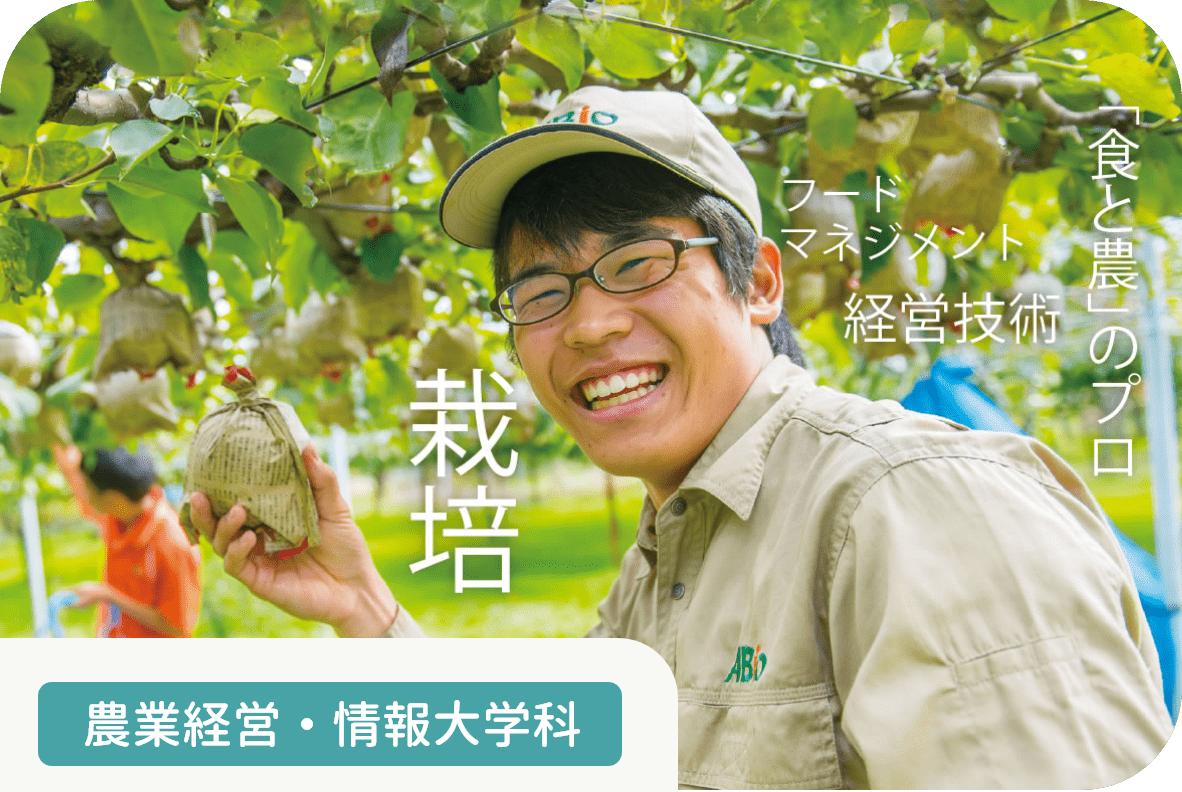大学併修農業総合科